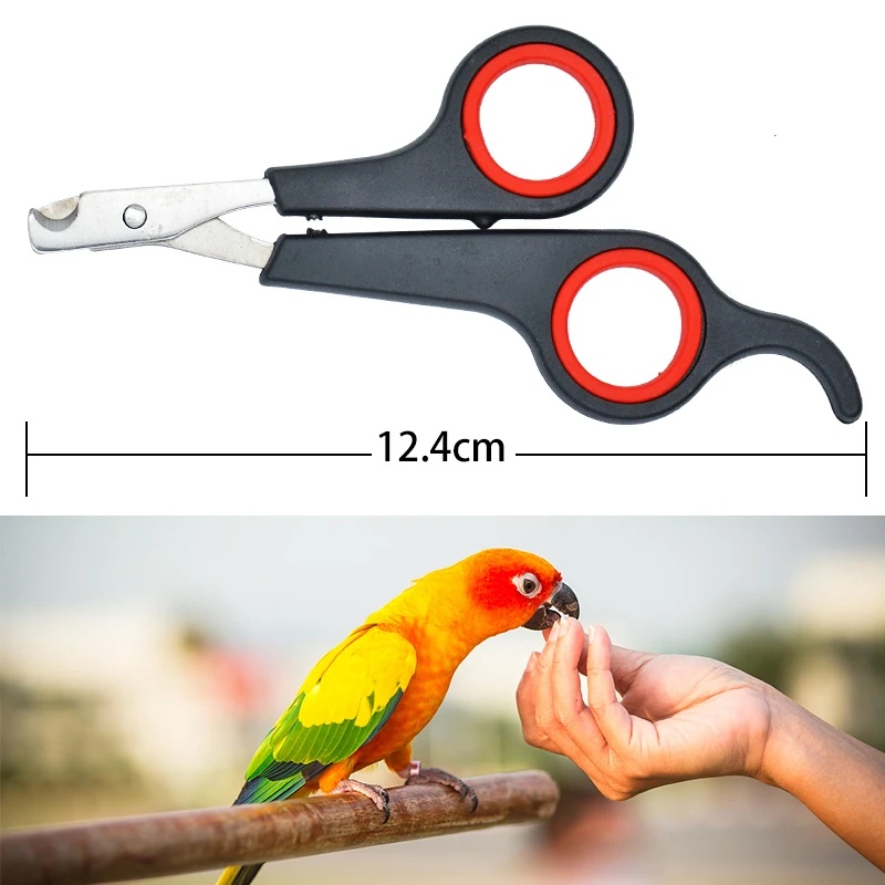 12cm Haustier-Nagelschere für  – Grooming Scissors Bewertung und Preis